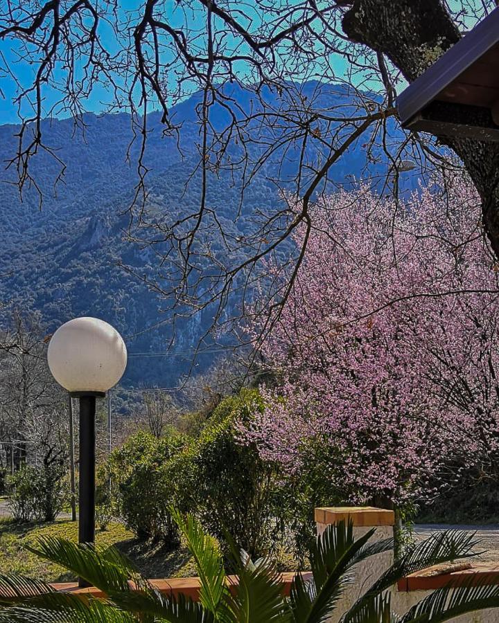 Il Ruscello Bed & Breakfast San Severino Exterior foto